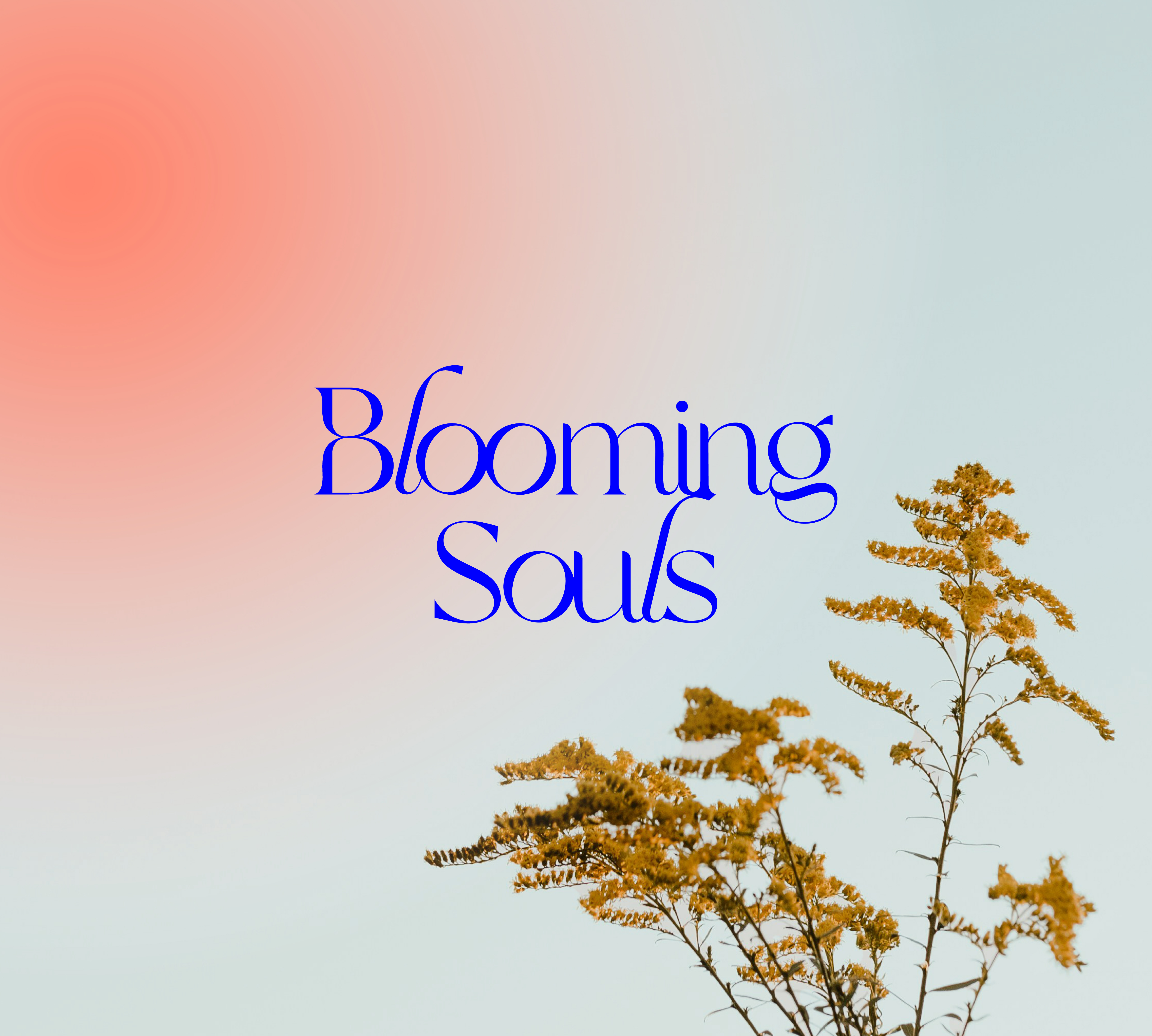 Blooming Souls — Corporate Identity Header Image